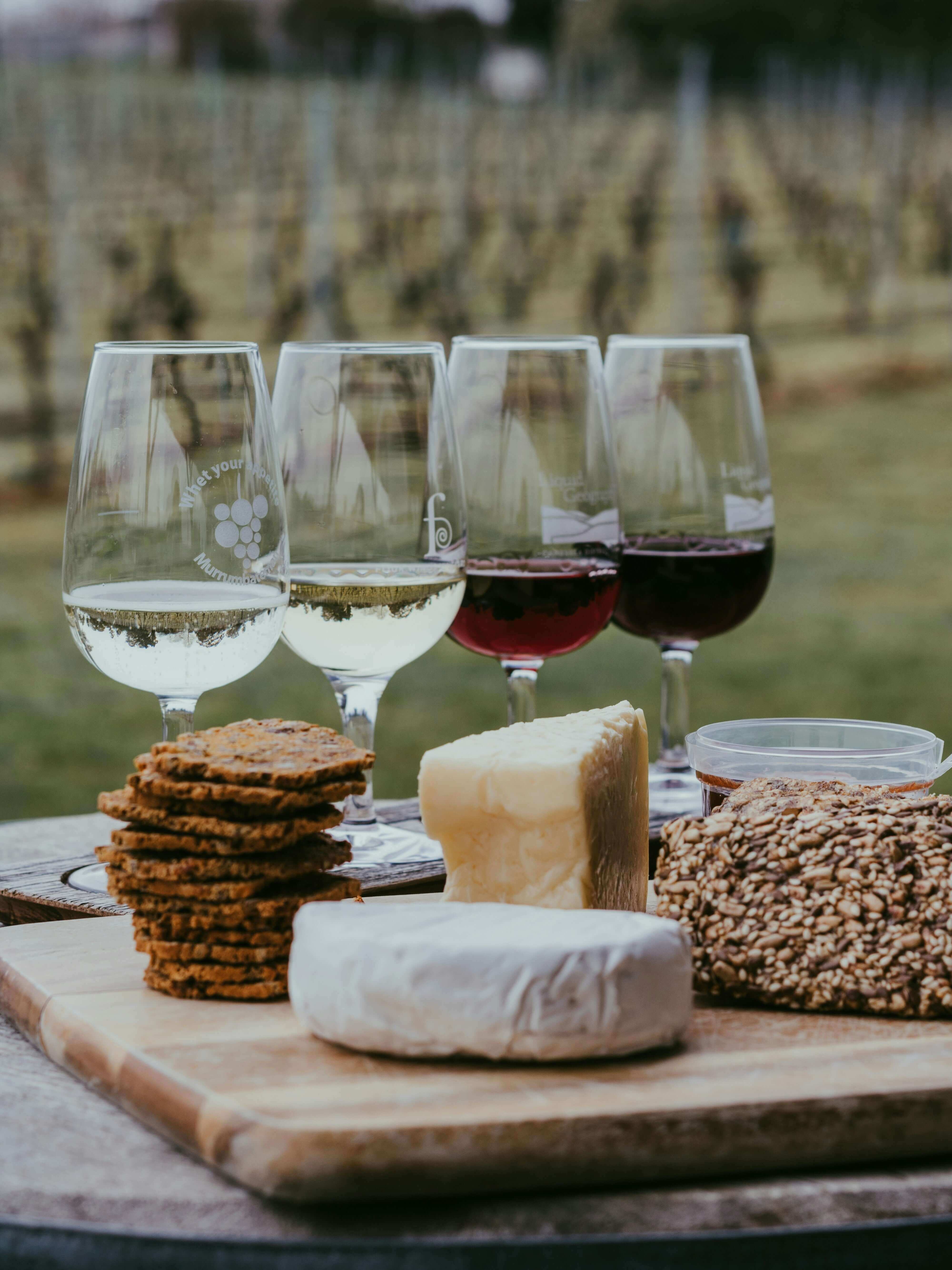 Let's Meet Wine & Cheese Dating: Sip, Savour, Connect